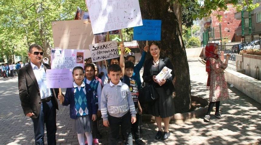 Devrekli &Ouml;ğrencilerden Sahipsiz Sokak Hayvanları İ&ccedil;in Anlamlı Y&uuml;r&uuml;y&uuml;ş