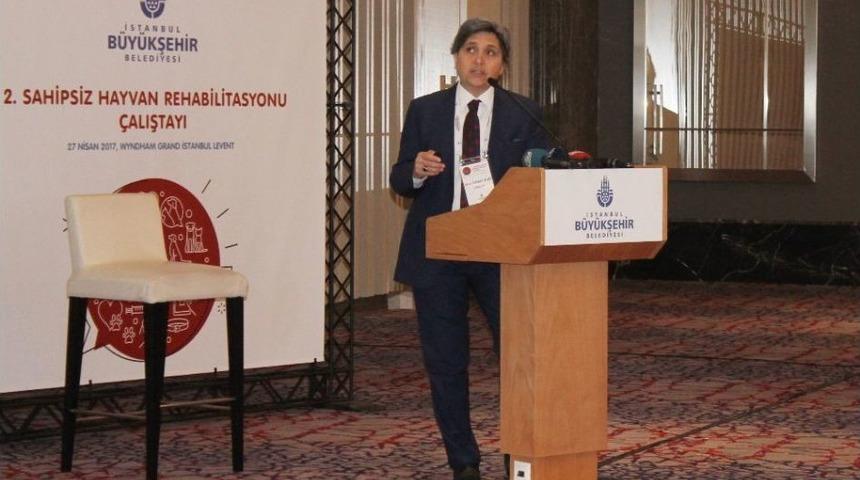 İbb Veteriner Hizmetleri M&uuml;d&uuml;r&uuml; Coşkun: &ldquo;istanbul Genelinde Sahipsiz 130 Bin K&ouml;pek, 125 Bin De Kedi Olduğunu &Ouml;ng&ouml;r&uuml;yoruz&rdquo;