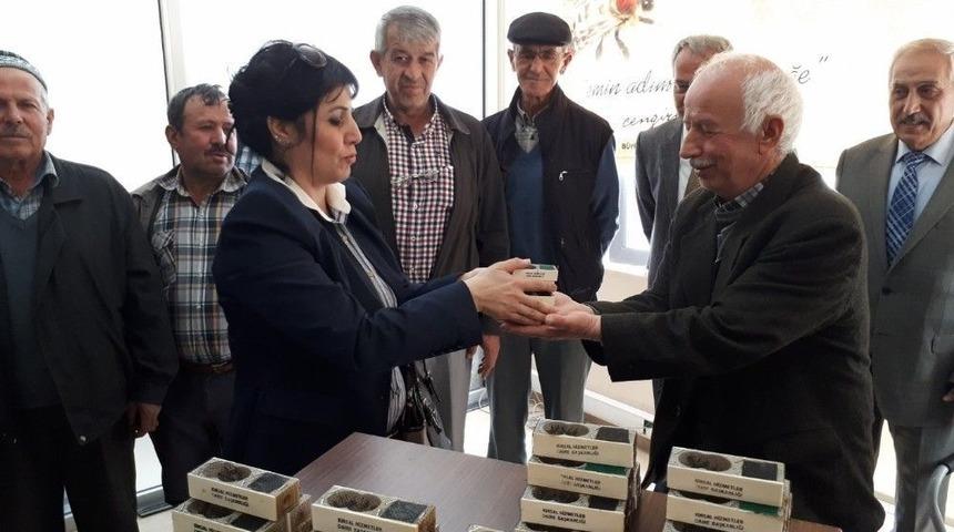 B&uuml;y&uuml;kşehir Arıcılığı Destekliyor