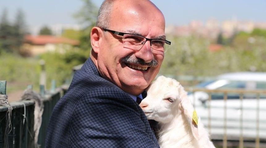 Coğrafi İşaretli &Uuml;r&uuml;nler Zirvesi Yarın Başlıyor