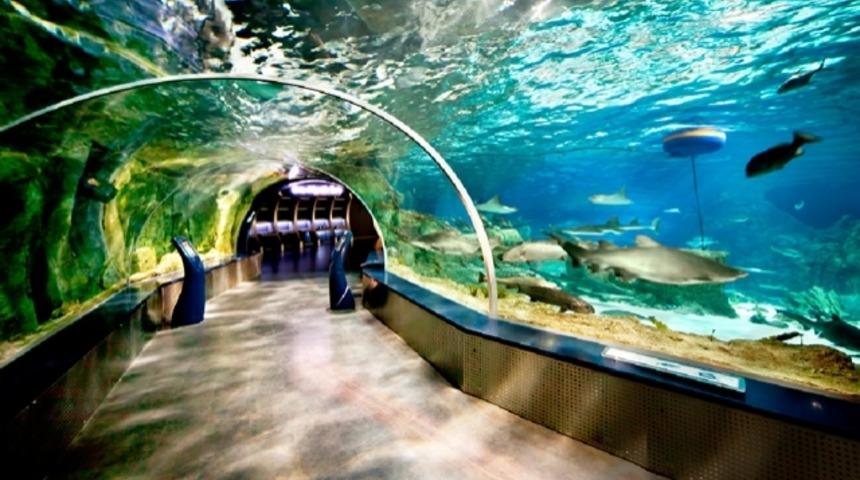 &Ccedil;ocuklar karne stresini İstanbul Akvaryum'da atsın!