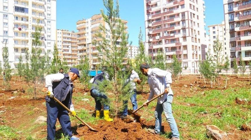 Bağlar&rsquo;a Yeni Bir Yeşil Alan Daha Eklendi