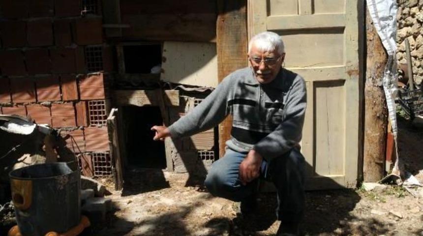 Kuş Gribi Rastlanan K&ouml;y Karantinada