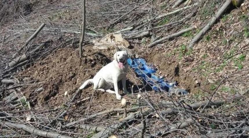 Bitlis'te Pkk'ya Ait 2 Ton Patlayıcı Imha Edildi