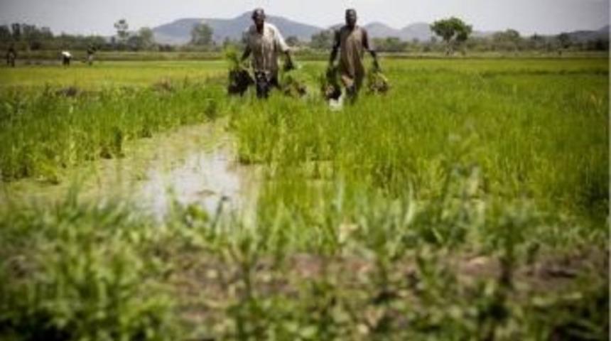 Fao: T&uuml;rkiye Ile &Ouml;rnek Bir Işbirliği Ge&ccedil;mişimiz Var