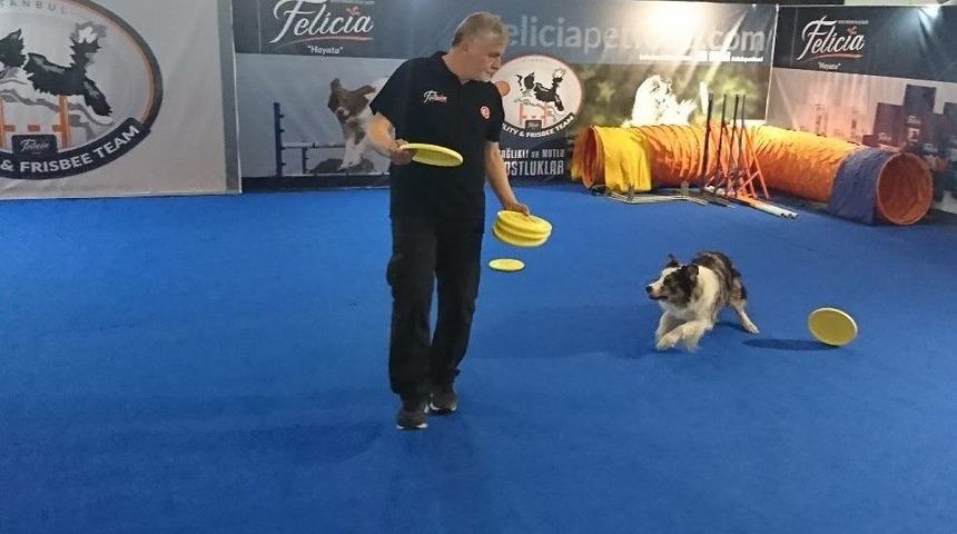 Hayvanseverler Fuarda Buluştu