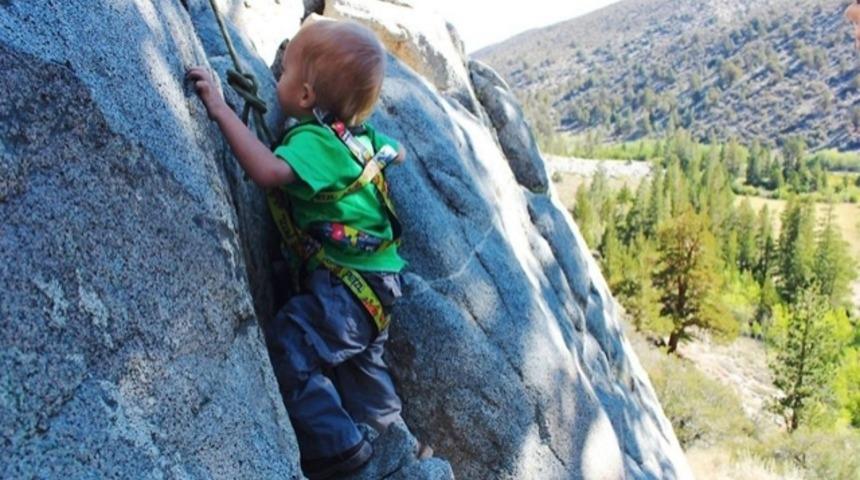 2 yaşında ama 483 km yol katetti!