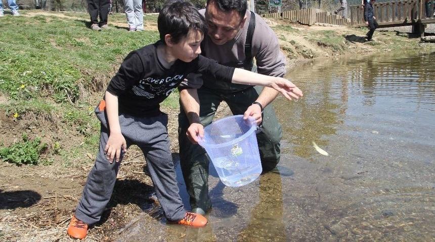 Abant G&ouml;l&uuml;&rsquo;ne 51 Bin Balık Salındı