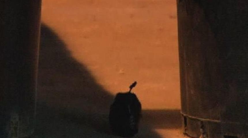 Maltepe'de Oto Yıkamacıya El Yapımı Patlayıcı Atıldı