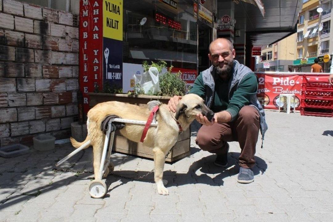 (&ouml;zel Haber) Duyarlı Esnaftan Fel&ccedil;li K&ouml;peğe Y&uuml;r&uuml;te&ccedil;