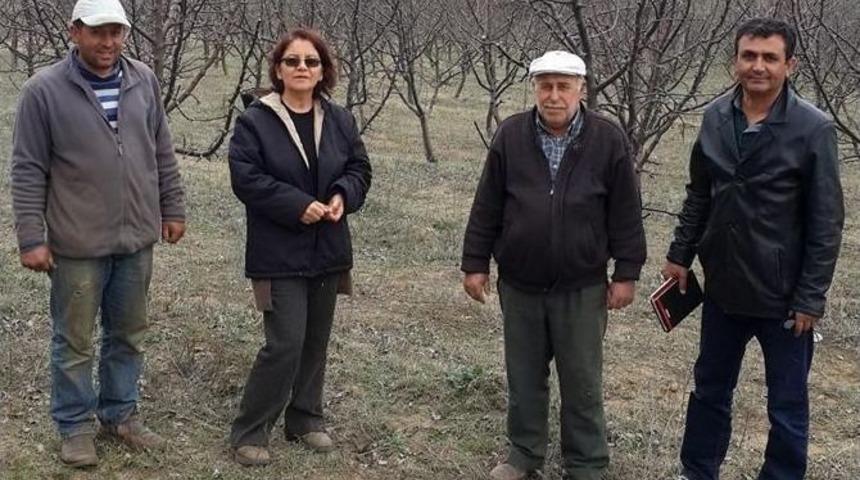 Aydın&rsquo;da Elma &Uuml;reticilerine Eğitim Verildi