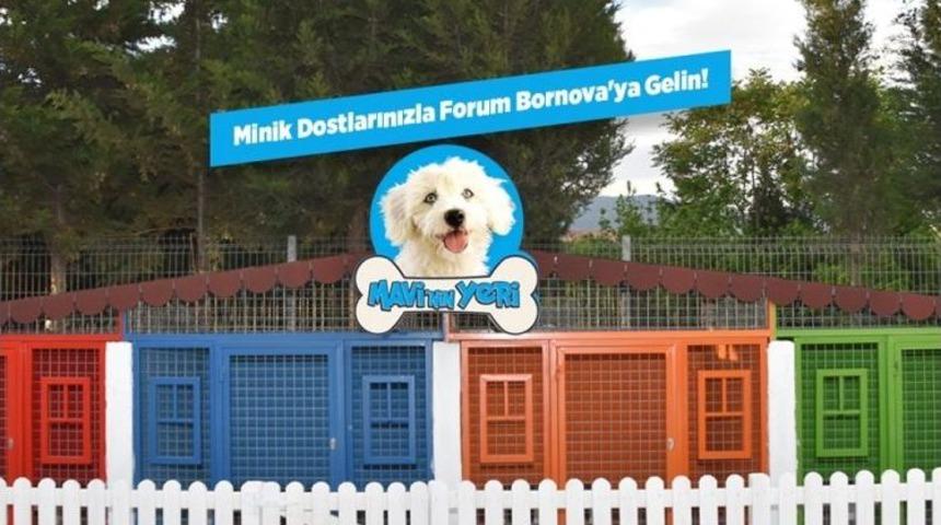 Forum Bornova Icsc &Ouml;d&uuml;llerinde Finalde