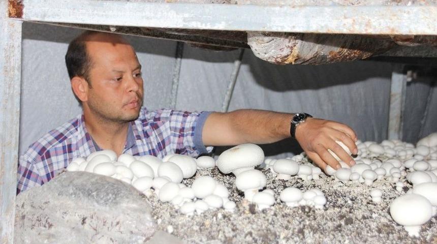 Kosgeb Kredisiyle Kendi İşinin Patronu Oldu