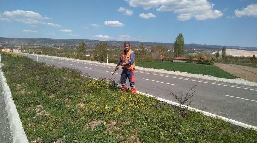 Karayolunun Orta Ref&uuml;j&uuml; Otlardan Temizleniyor