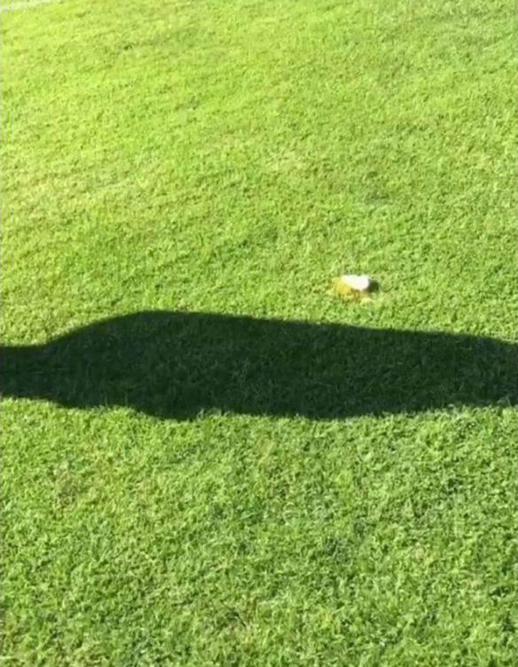 Samsunsporlu Futbolculardan Eşek Şakası G5