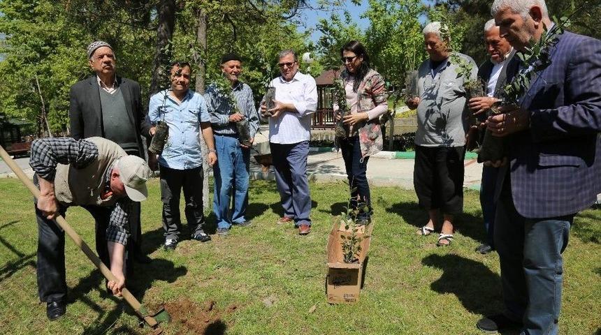 &ldquo;huzurlu&rdquo; Fidanlar