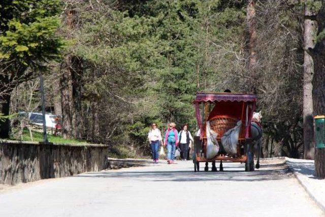 Abant'a 7 Kilometrelik Yürüyüş Yolu