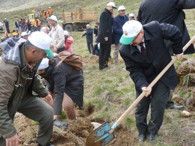 Otizm Farkındalık Ormanı’na 1000 Adet Fidan Dikildi