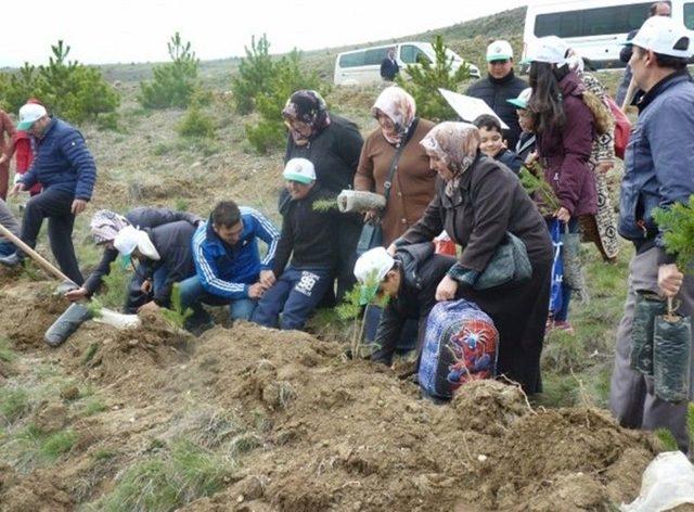 Otizm Farkındalık Ormanı’na 1000 Adet Fidan Dikildi