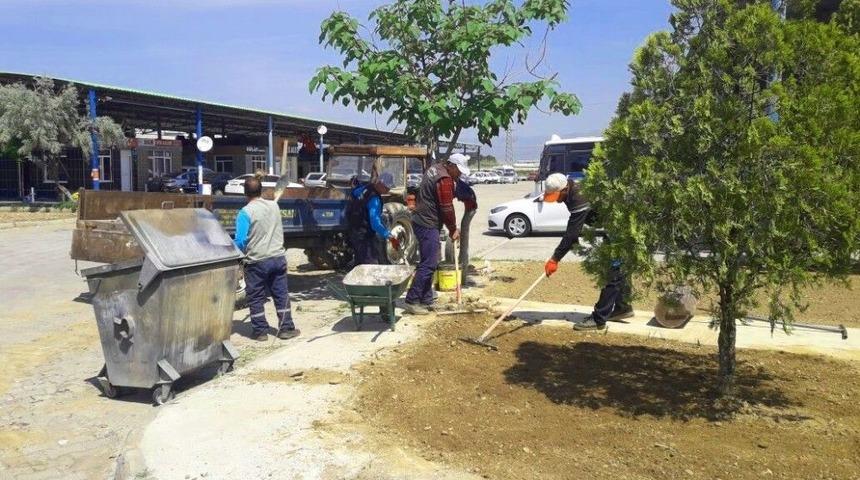 Daha Yeşil Bir Alaşehir İçin Çalışıyorlar