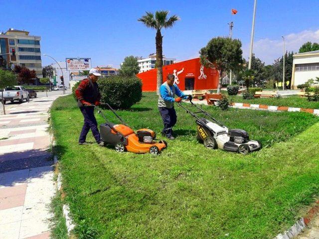 Daha Yeşil Bir Alaşehir İçin Çalışıyorlar