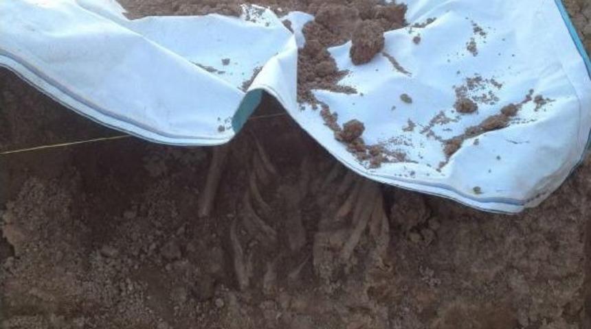 Mevlana M&uuml;zesi&rsquo;Nin Bin Yıllık G&uuml;l Bah&ccedil;esinde, Ek Bina Inşaatı Durduruldu