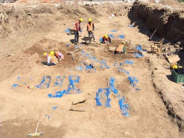 Mevlana Müzesi’Nin Bin Yıllık Gül Bahçesinde, Ek Bina Inşaatı Durduruldu