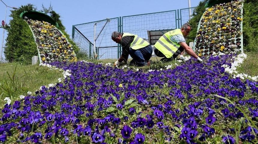 Mersin &Ccedil;i&ccedil;eklendi