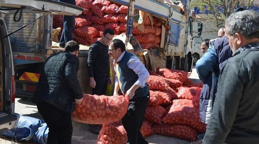 Ordu B&uuml;y&uuml;kşehirden Patates &Uuml;retimine Destek