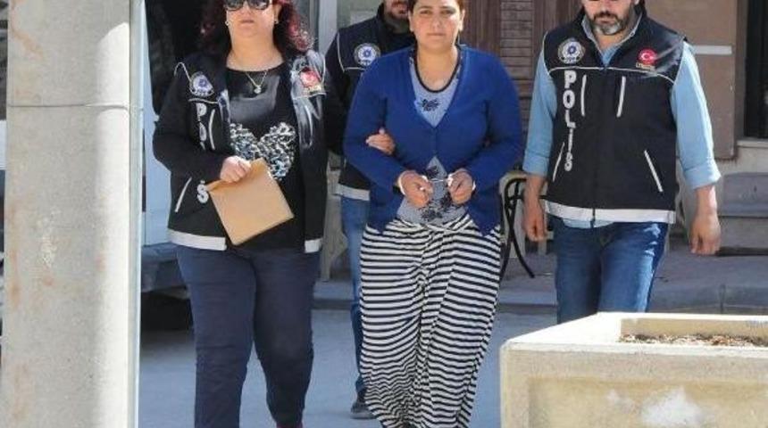 Evinde Bonzai Bulunan Kadın Tutuklandı