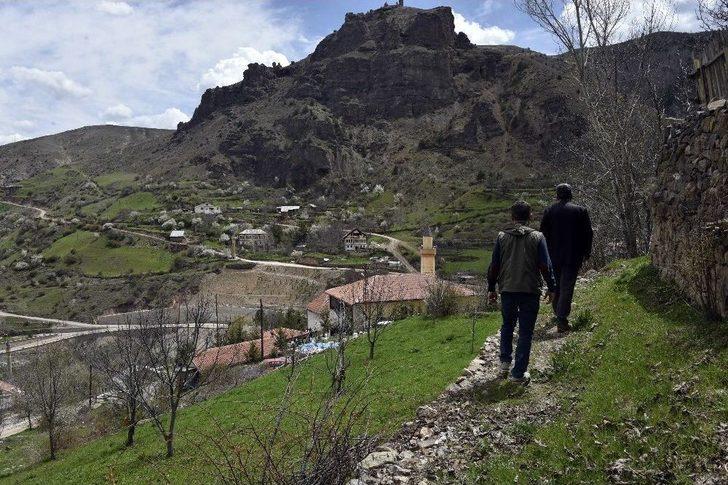 Süleymaniye’de Eşsiz Bahar Güzelliği G1
