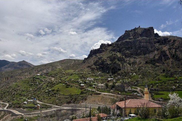 Süleymaniye’de Eşsiz Bahar Güzelliği G2