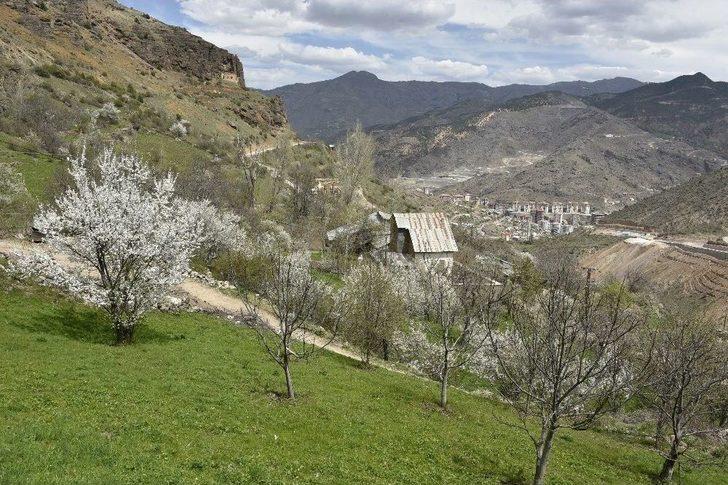 Süleymaniye’de Eşsiz Bahar Güzelliği G3