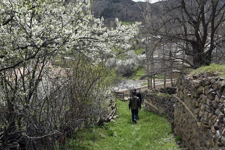 Süleymaniye’de Eşsiz Bahar Güzelliği G4