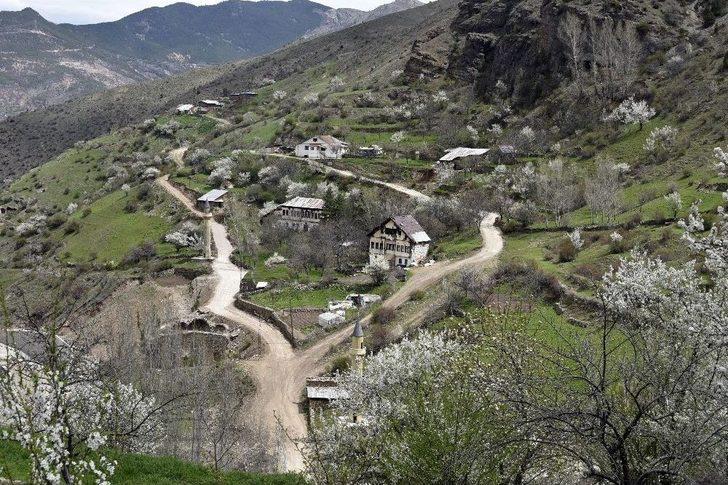 Süleymaniye’de Eşsiz Bahar Güzelliği G5