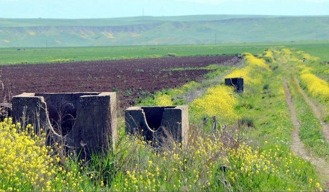 Dicle Elektrik Çiftçinin Yanında Olduğunu Duyurdu