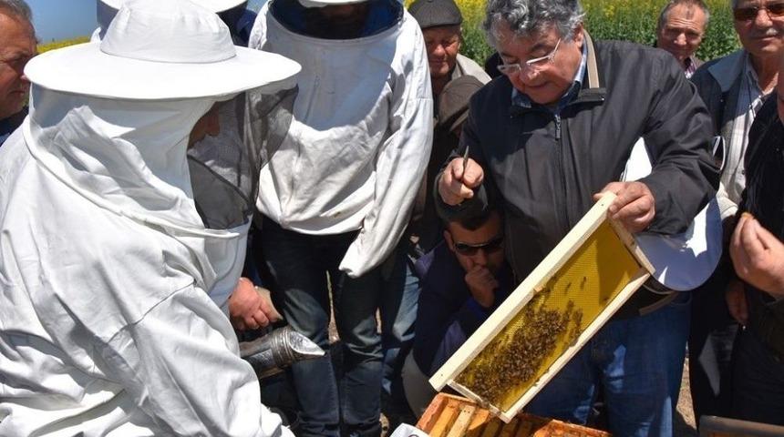 &ldquo;arıcılığı Geliştirme Ve Polinasyon Projesi&rdquo;