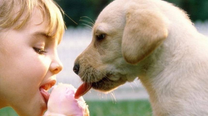 Bebekli evde hayvan olur mu? Tabuları yıkın!