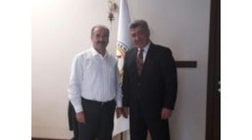 Yığılca&rsquo;ya Bal Gibi Proje