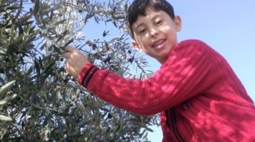 İzmir&rsquo;de Minib&uuml;s İle Hafif Ticari Ara&ccedil; &Ccedil;arpıştı: 2 &Ouml;l&uuml;, 2&rsquo;si Ağır 9 Yaralı