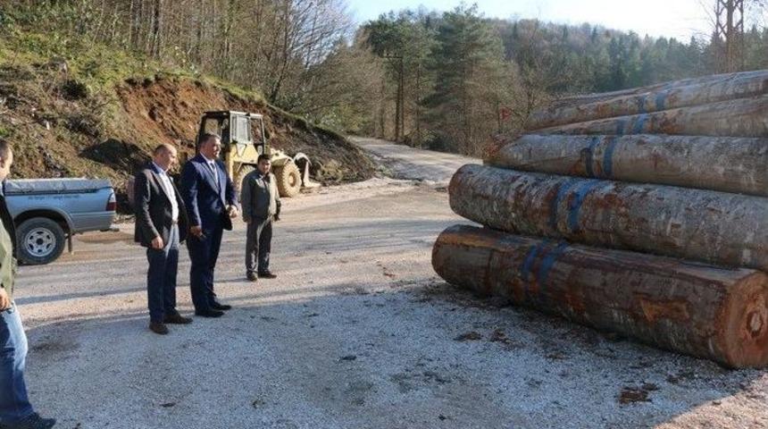 Ülke Ekonomisine Katkı Sağlıyor