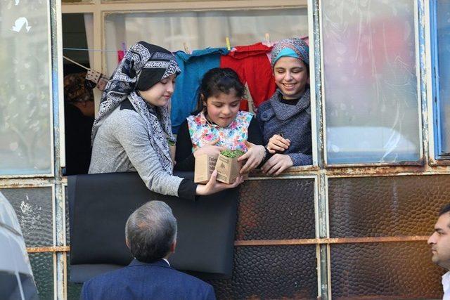 Zeytinburnu’nda Sokakları Fesleğen Kokusu Sardı