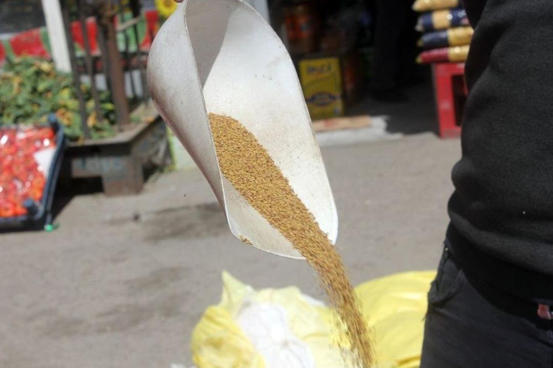 Ağrı&rsquo;da Yoncanın Fiyatı Altınla Yarışıyor