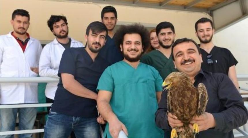 Litvanya'ya Giden Şah Kartalı Hatay'da Vuruldu (2)- Yeniden