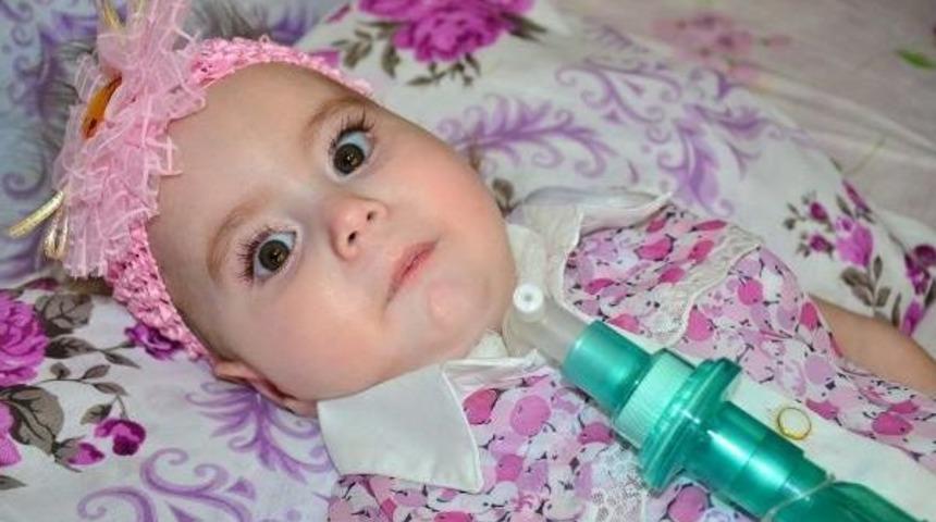 Zeynep Bebek &Ouml;lmesin