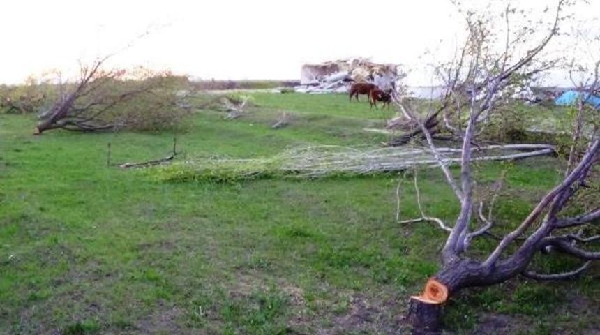 Meraya Kurulan Evleri Yıkıldı, A&ccedil;ıkta Kaldılar