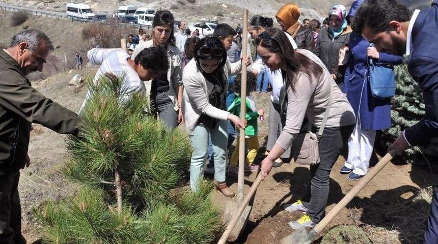 G&ouml;n&uuml;l El&ccedil;ileri, 15 Temmuz Şehitleri Anısına, 1500 Fidanı Toprakla Buluşturdu