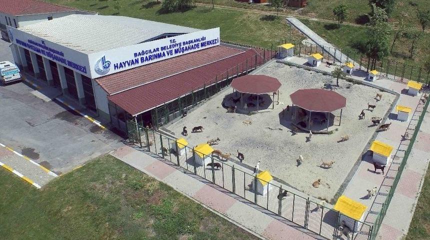 Bağcılar&rsquo;da Sokak Hayvanları İ&ccedil;in 5 Yıldızlı Hizmet Veriliyor