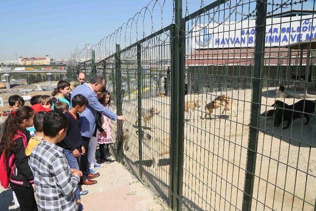 Bağcılar’da Sokak Hayvanları İçin 5 Yıldızlı Hizmet Veriliyor