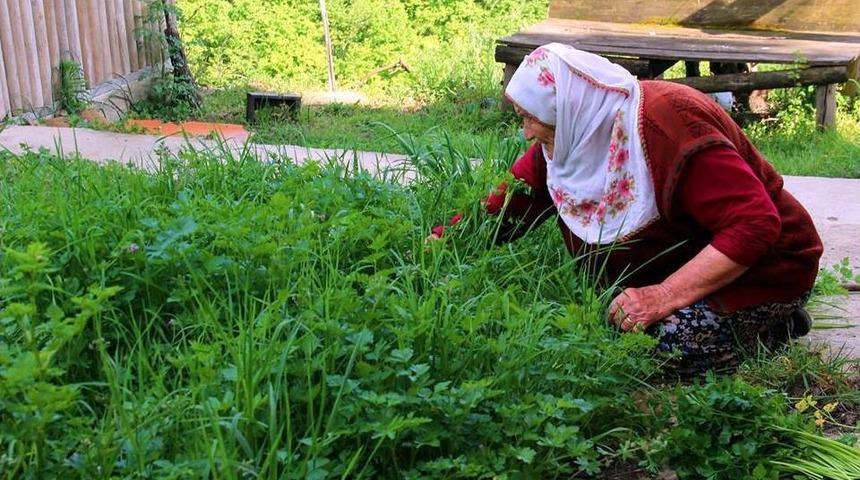 Bah&ccedil;eler Yeşillendi